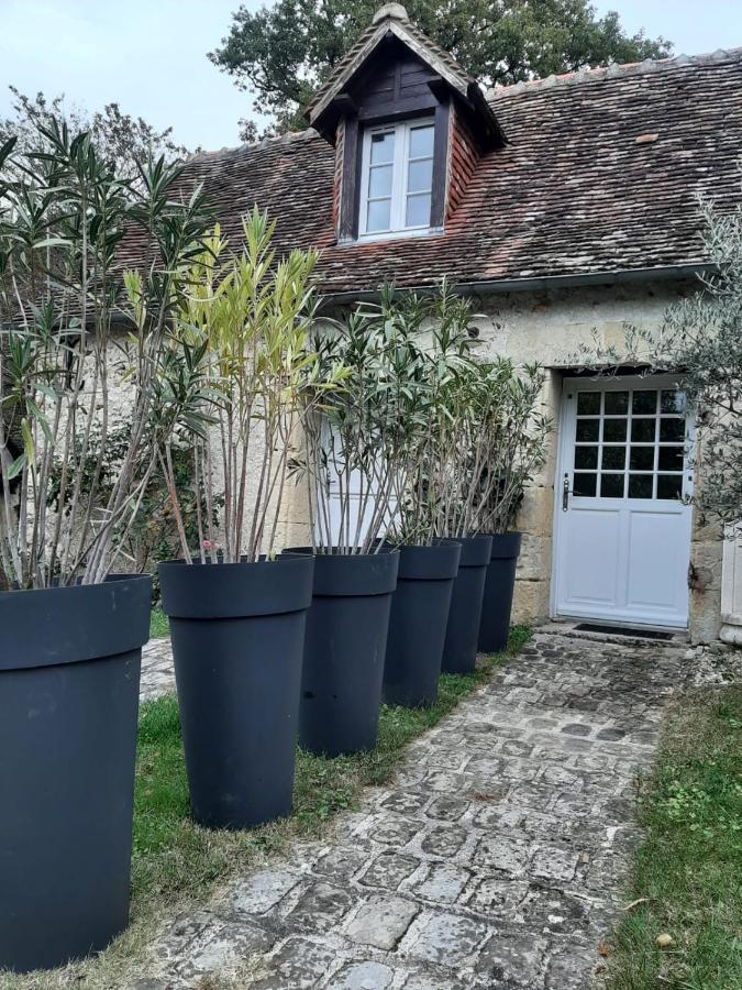Gite Des Chateaux De La Loire Villandry Εξωτερικό φωτογραφία